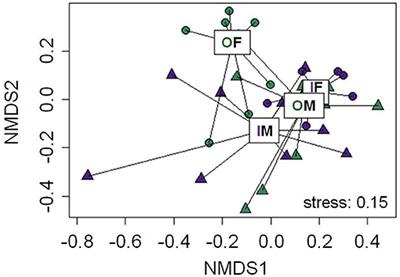 Inbreeding Alters the Chemical Phenotype and Mating Behavior of a Beetle